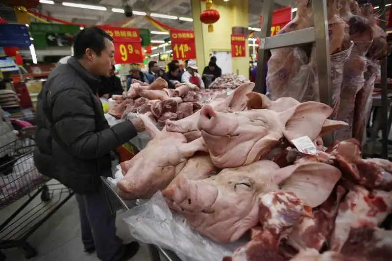 CINA - MERCATO DELLA CARNE 