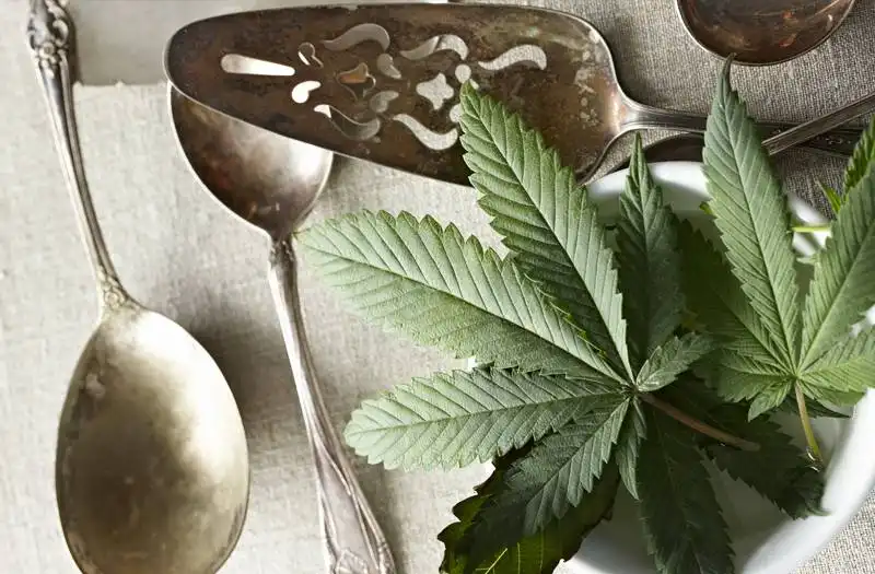 corso di cucina a base di marijuana