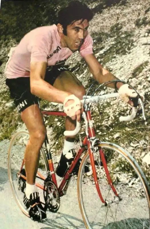 eddy merckx1