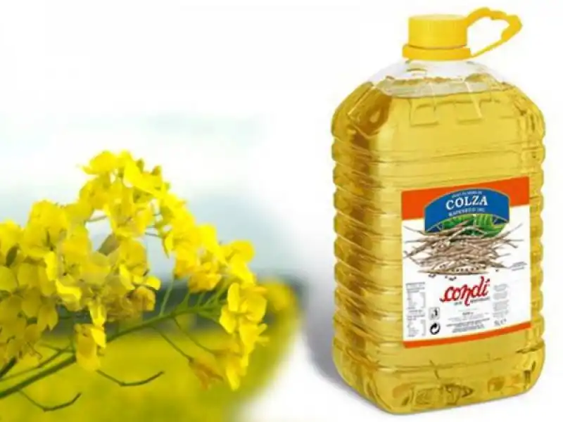 olio di colza