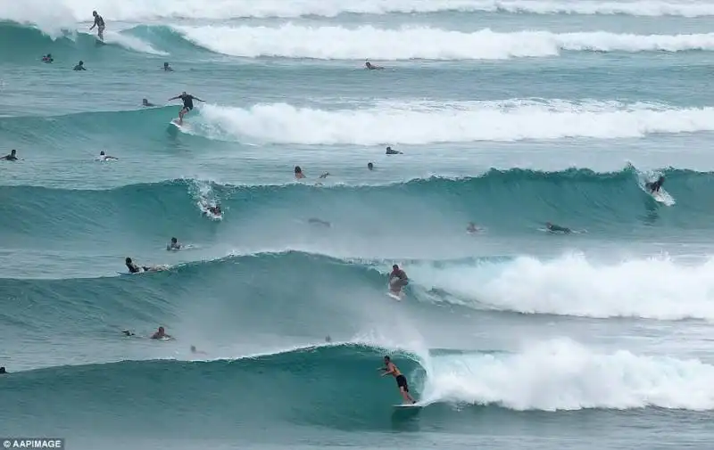 snapper rock, gold coast