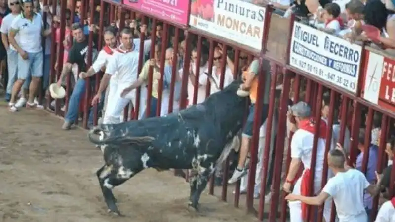 Uomo incornato e ucciso da un toro in encierro 4