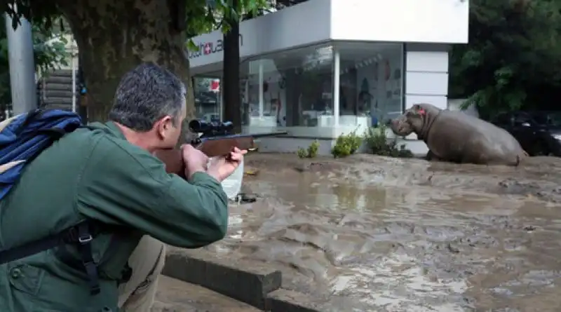 zoo tbilisi ippopotamo 6