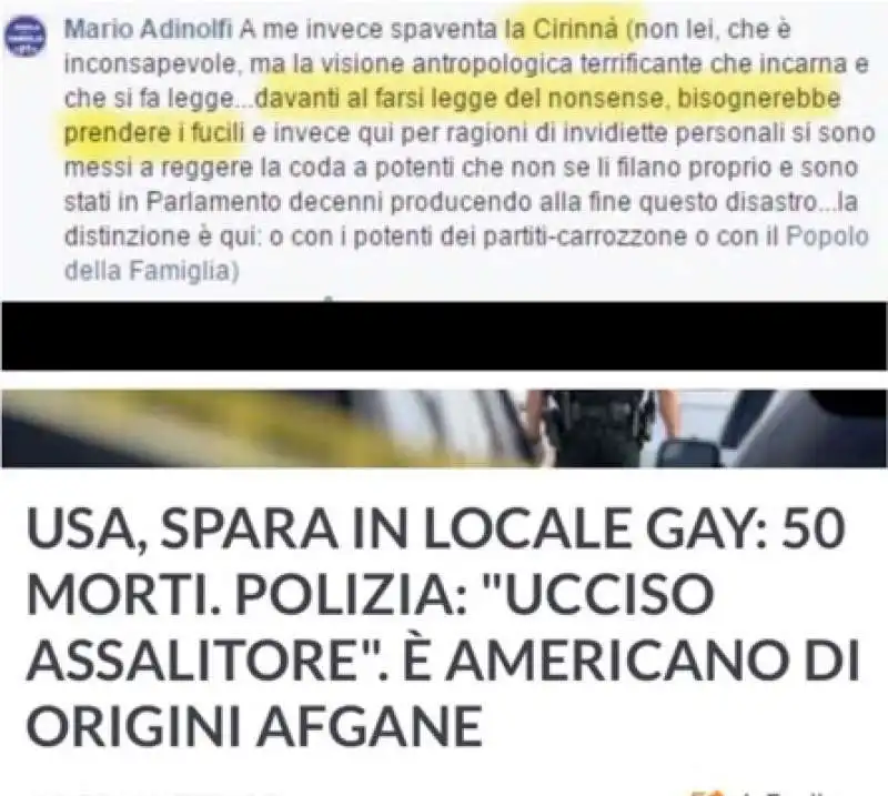 adinolfi e i commenti alla legge cirinna