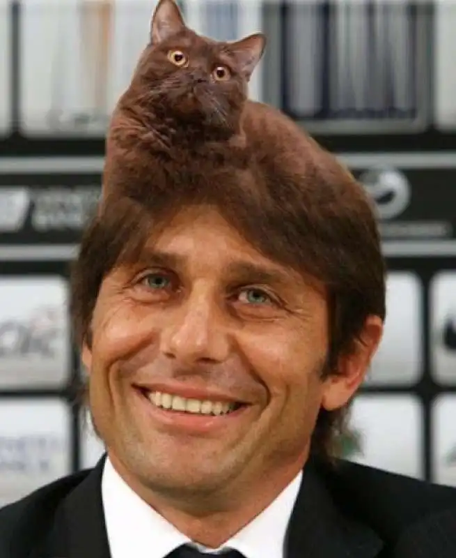 antonio conte e il suo gattone