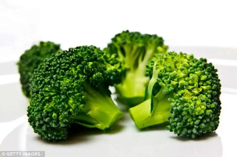 broccoli 2