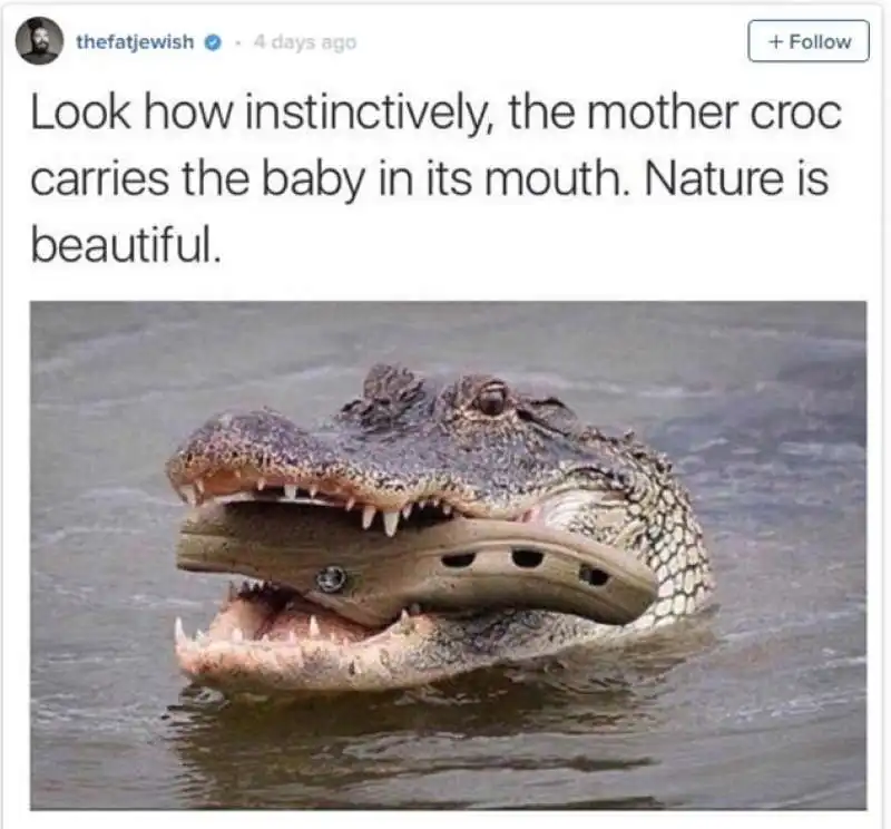 crocs 2