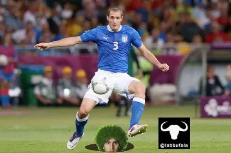 fellaini chiellini