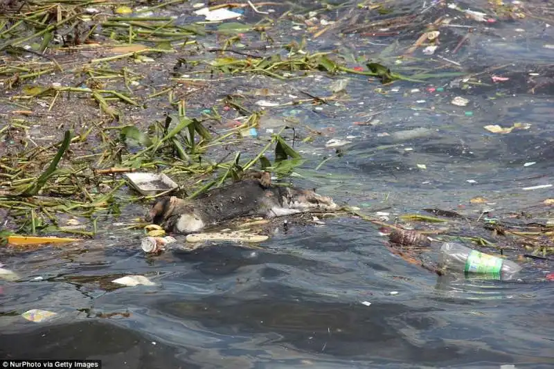 guanabara bay 12