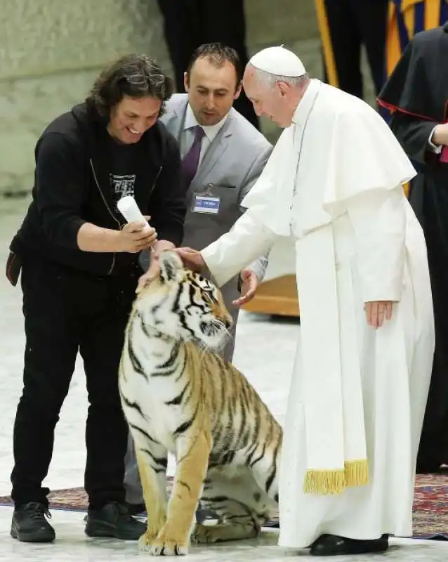 papa bergoglio accarezza la tigre  3