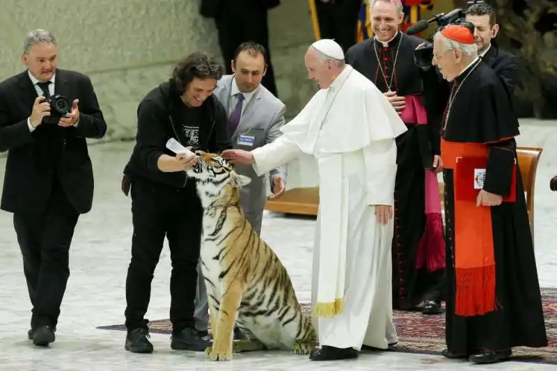 papa bergoglio accarezza la tigre    