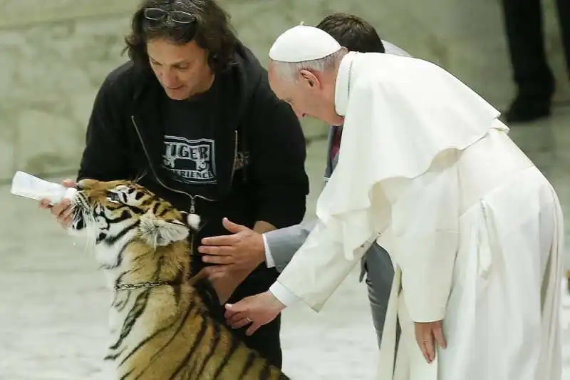 papa bergoglio accarezza la tigre 