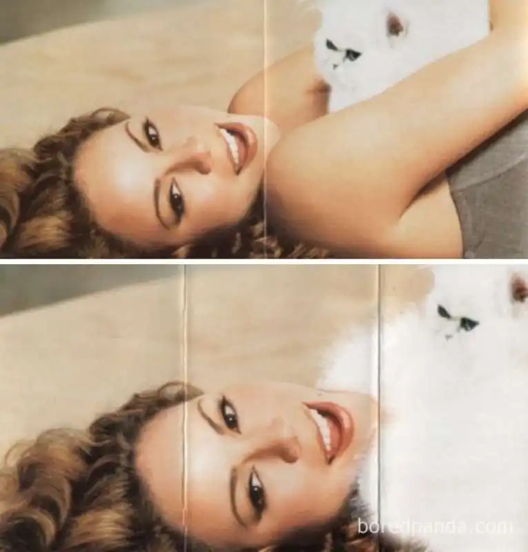 mariah carey coperta dal gatto