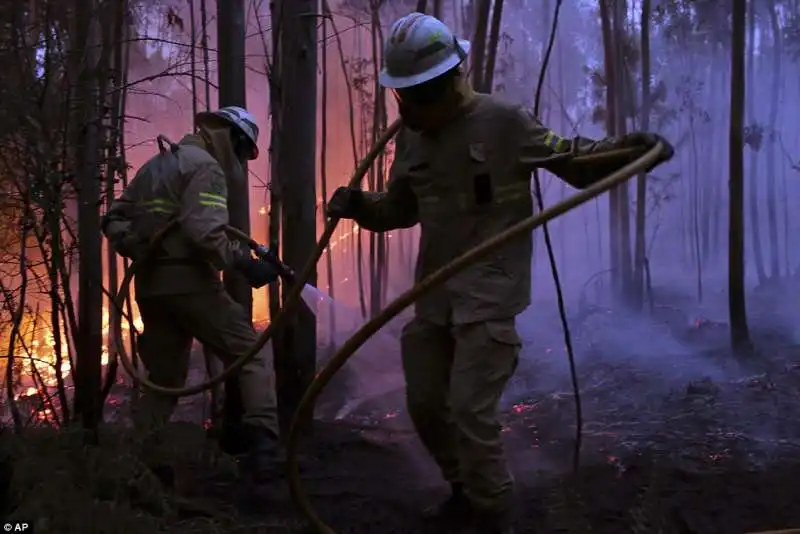 portogallo  incendi   a  pedrogao