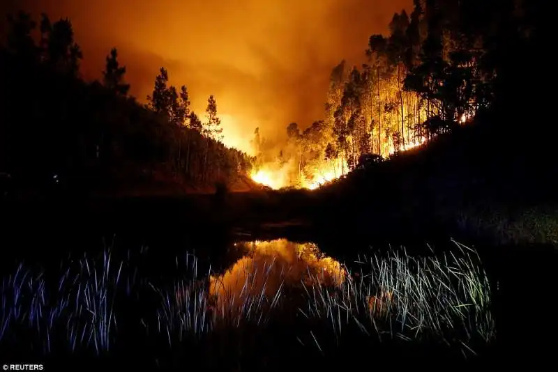 portogallo  incendi  a  pedrogao