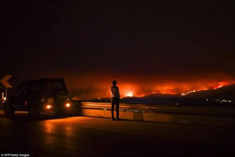 portogallo  incendi  a pedrogao