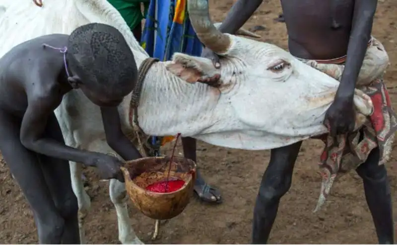 sangue crudo omo valley