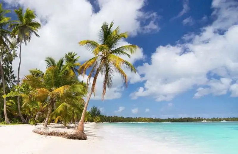 bavaro beach, dominican republic