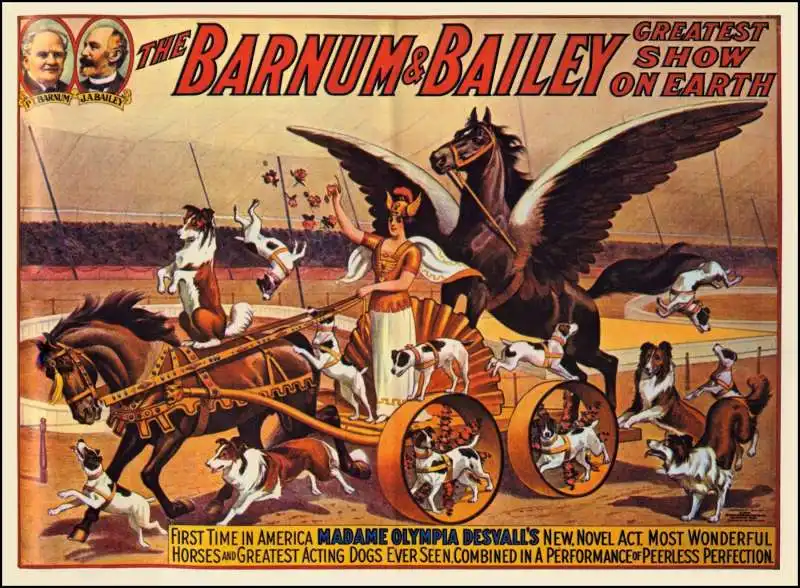 il circo barnum    