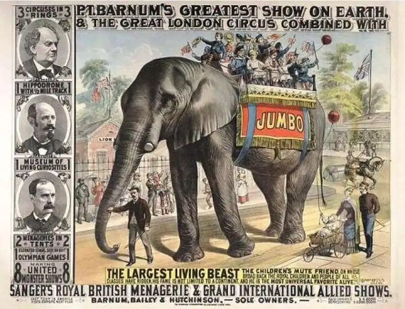 il circo barnum   