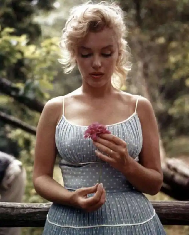 marylin monroe