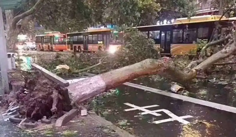 tempesta in cina 8