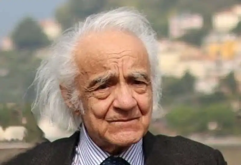 ANTONINO ZICHICHI