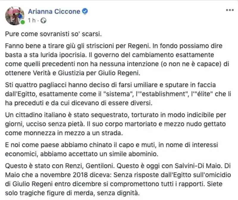 IL POST DI ARIANNA CICCONE CONTRO SALVINI E DI MAIO