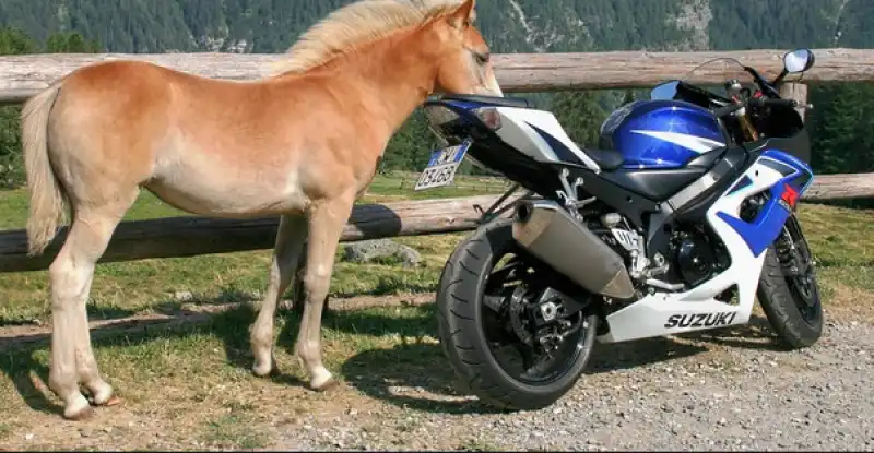 moto cavallo