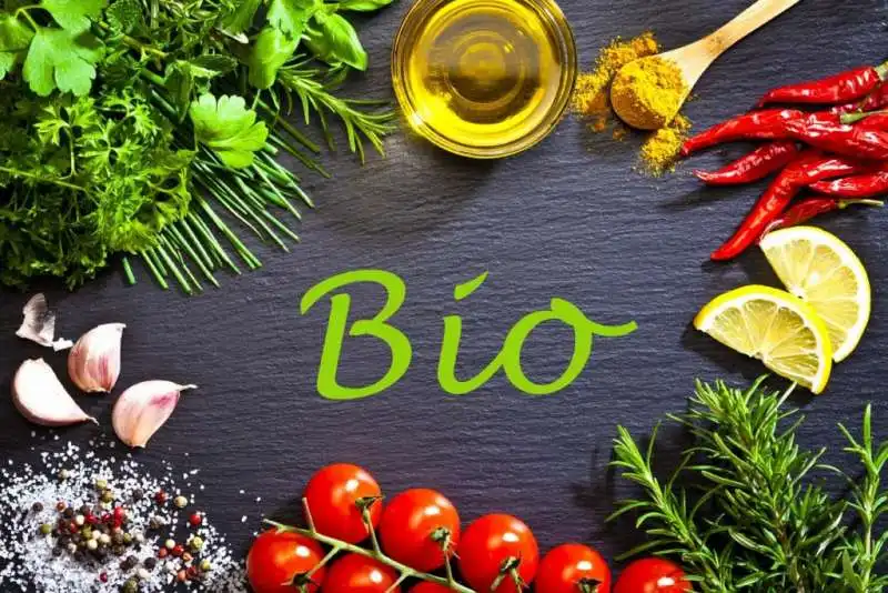 cibo biologico 8