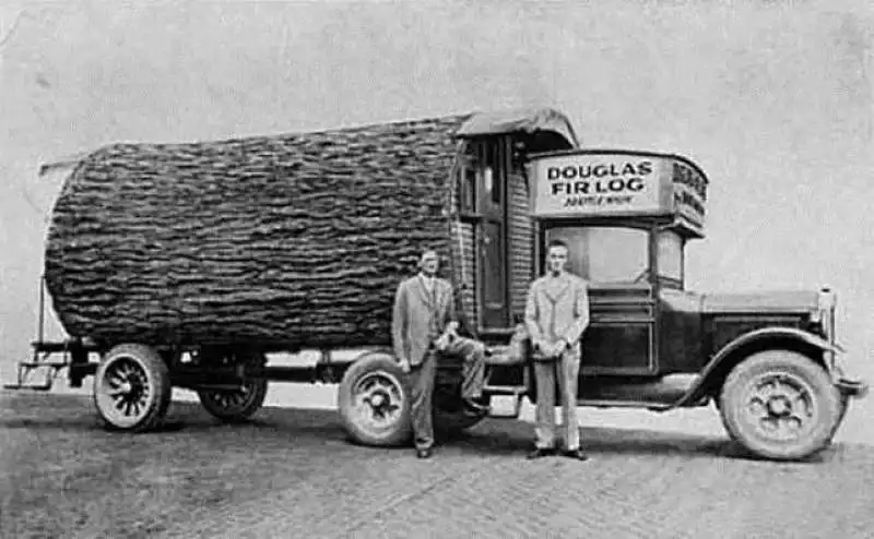 douglas fir log camper