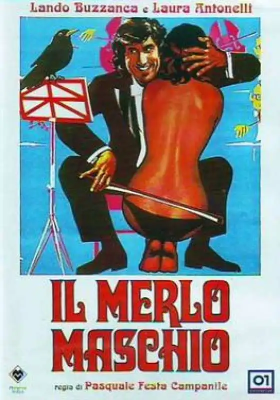 il merlo maschio 2