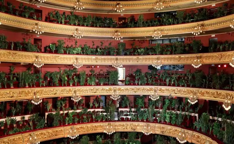 piante in platea al gran teatro del liceu di barcellona 11