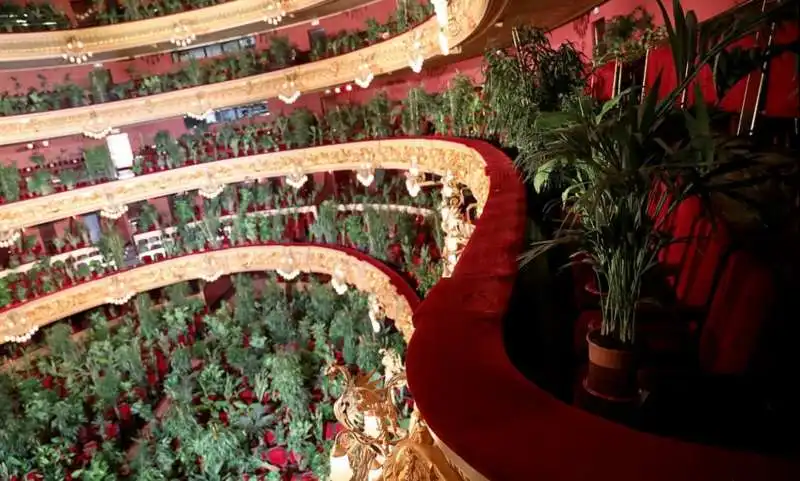 piante in platea al gran teatro del liceu di barcellona 2