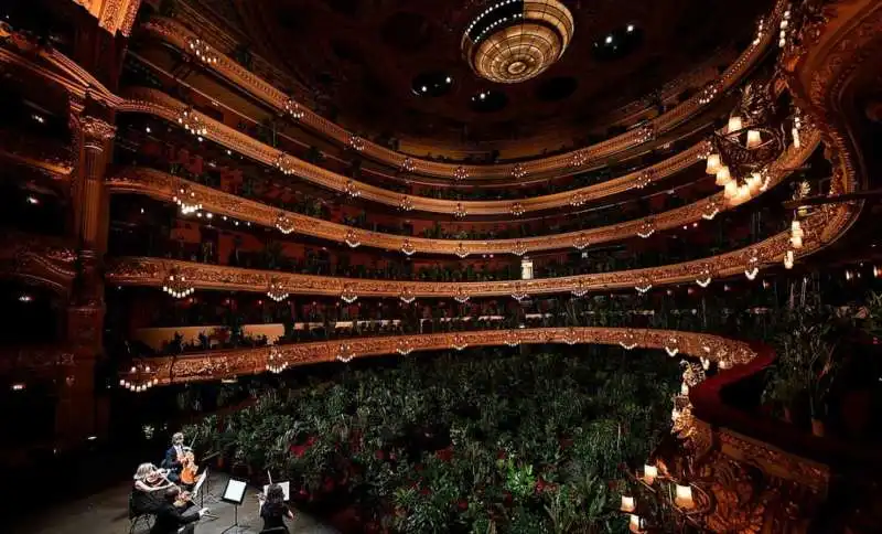 piante in platea al gran teatro del liceu di barcellona 3