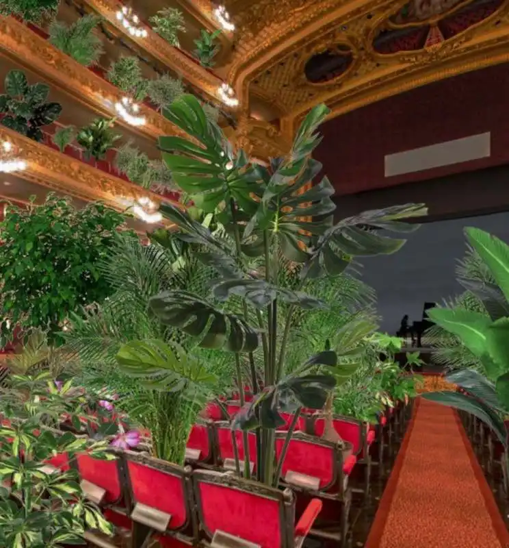 piante in platea al gran teatro del liceu di barcellona 8