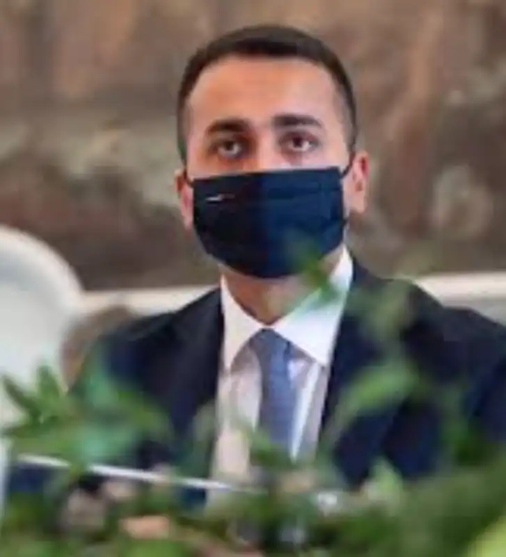 stati generali di maio