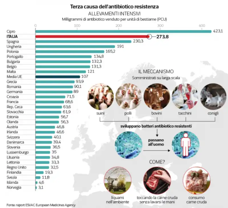 terza causa dell'antibiotico resistenza   grafico dataroom