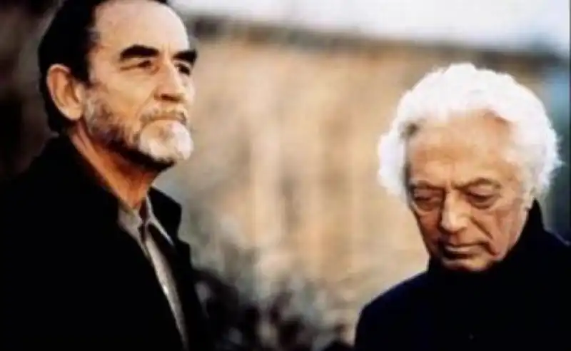 vittorio gassman dino risi 1