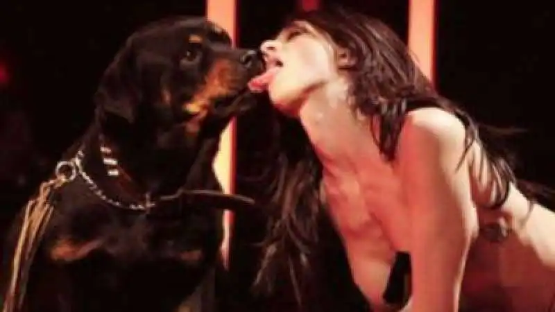 asia argento slinguazza il cane