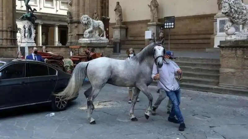 cavallo imbizzarrito sull'auto della lamorgese 