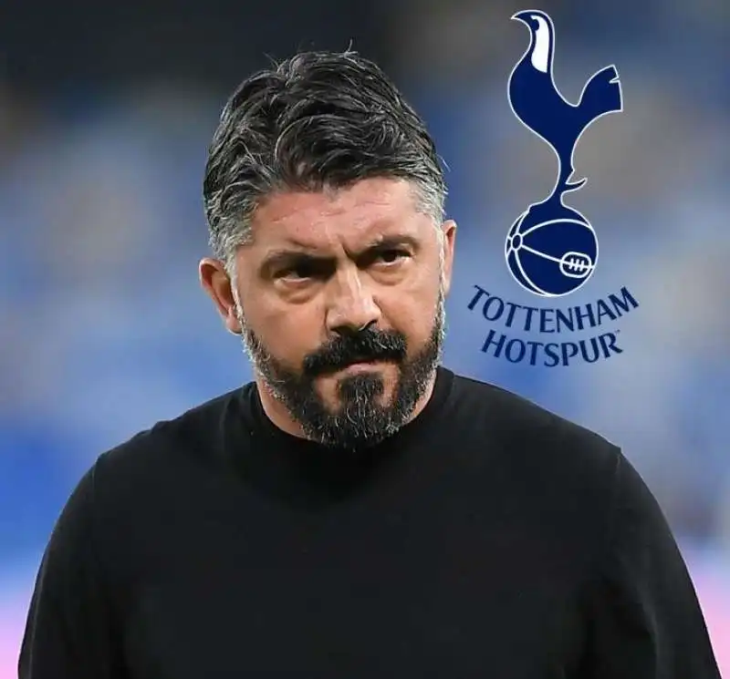 GATTUSO TOTTENHAM