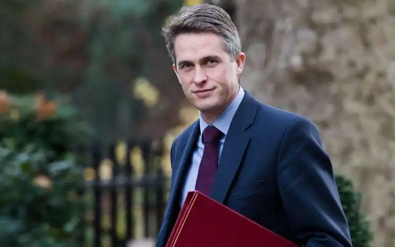 gavin williamson 