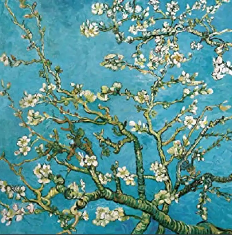 mandorlo in fiore van gogh