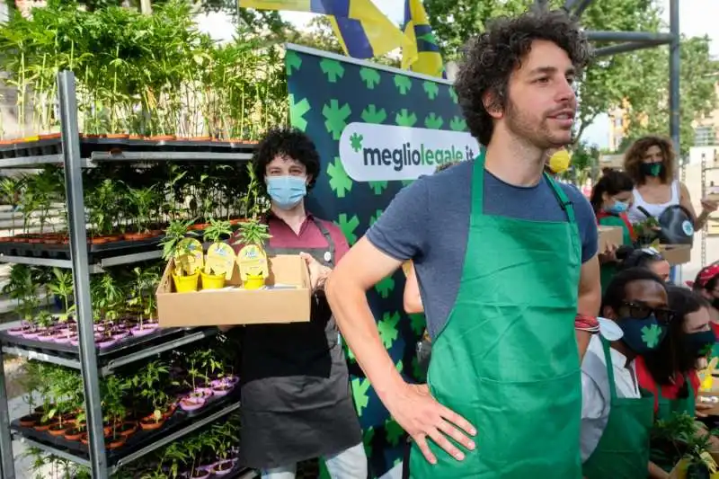 mattia santori per la cannabis legale