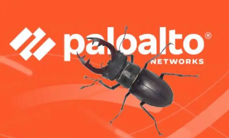 paloalto networks