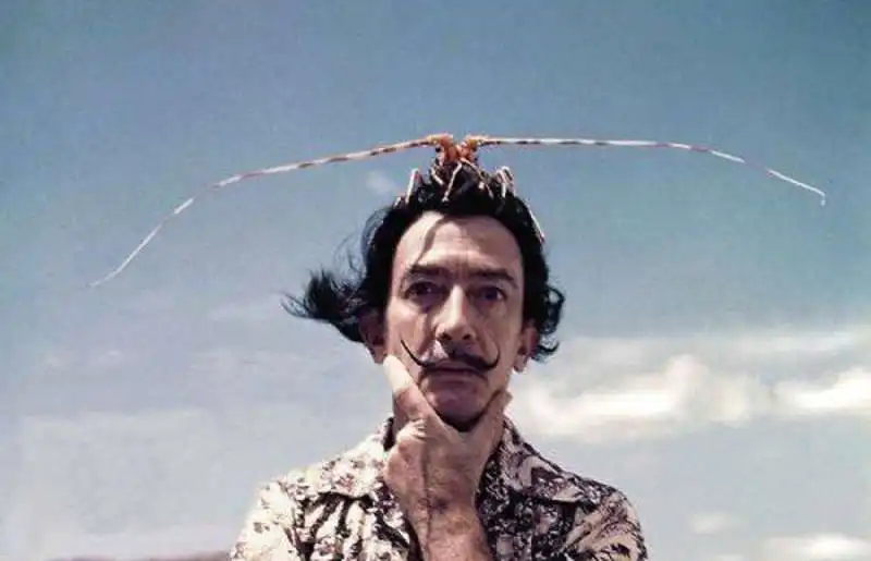 salvador dali 6