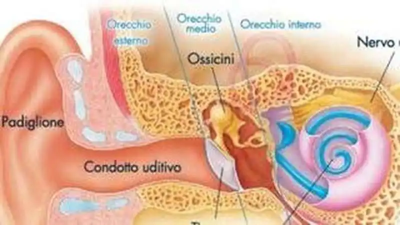 ACUFENE 