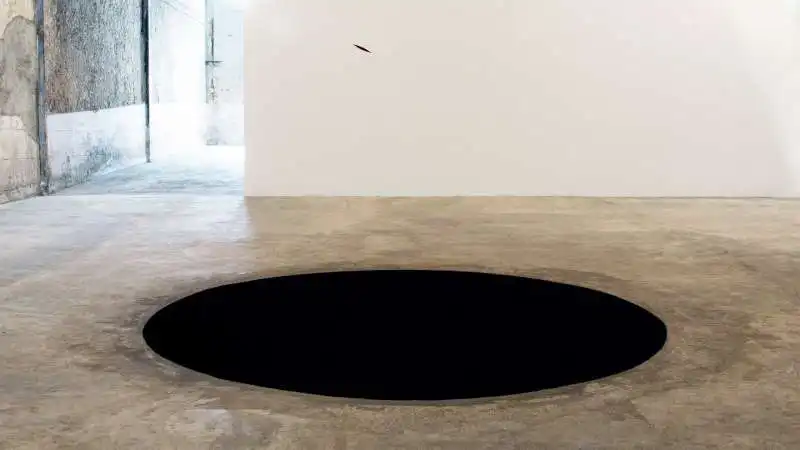 anish kapoor 13