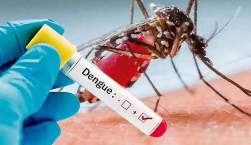 Dengue